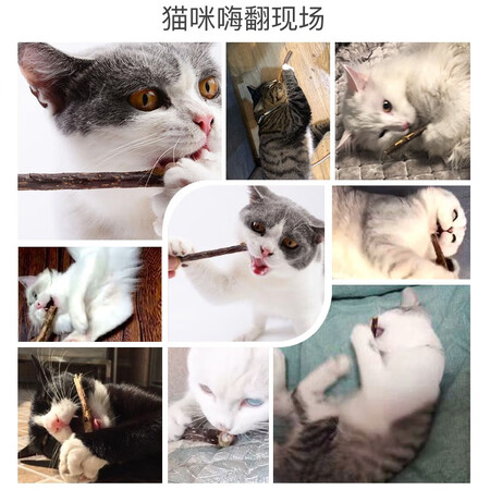 深度使用评测憨憨乐园猫零食木天蓼能入手吗？入手一个月真相分享！
