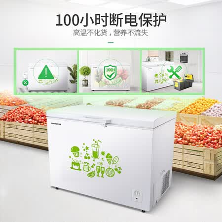 容声309升 冰柜怎么样？质量好吗？