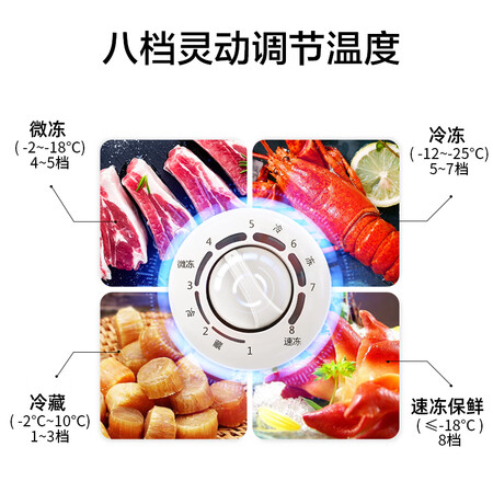 容声160升 冰柜BDBC-160EBHC怎么样？评测好吗？