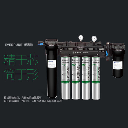 爱惠浦HIGH FLOW CSR TWIN-MC2四联净水器套怎么样?评价好吗?