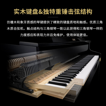 电钢琴卡西欧gp500和gp300哪个好?区别大吗?