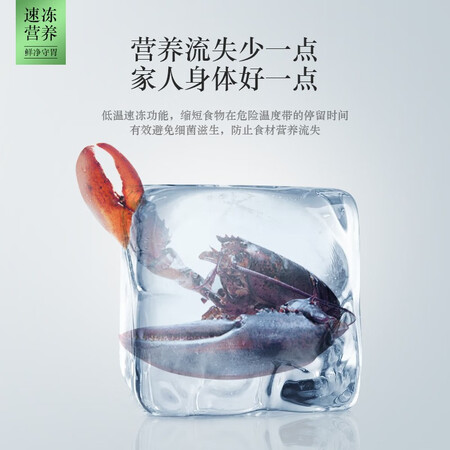松下322升风冷无霜两门冰箱怎么样?好不好用?