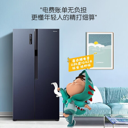 海信BCD-451WFK1DPQ冰箱怎么样？谁用过评价？