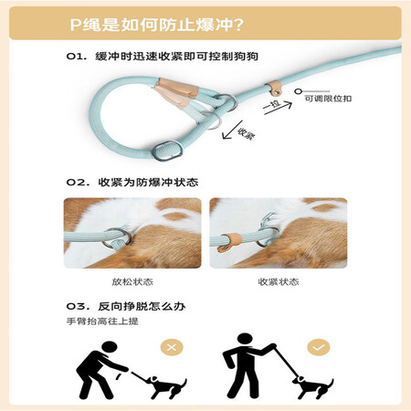 用后体验分享M-PETS6020140000062给说说好不好？了解三周感受分享！