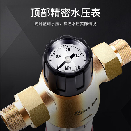 惠尔顿前置过滤器反冲洗净水器WHT-P006怎么样?质量如何?