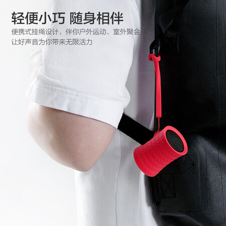 京鱼座和叮咚mini2哪个好?有什么区别?