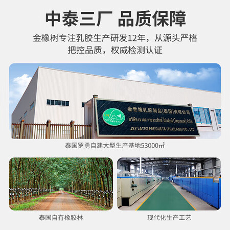 金橡树泰舒平面款使用后评价好吗-金橡树泰舒平面款优缺点深度解析_http://www.meifudie.com_好物_第4张