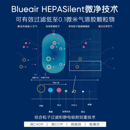 空气净化器布鲁雅尔303和270哪个好？区别是？