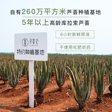 反馈解密寻荟记 芦荟胶控膏痘修凝胶复淡化印清爽补睡眠面膜晒后究竟好不好？分享两周感受告知！