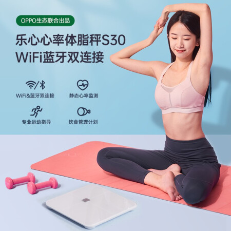 乐心s11和s30哪个好？区别大吗？