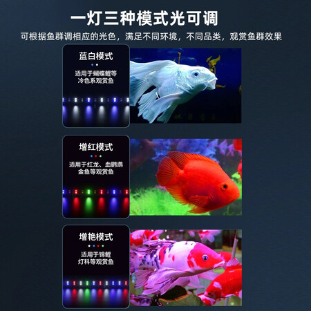 宠翰XGD-900怎么样？值得入手吗？