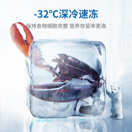 美菱489升 十字对开门冰箱怎么样?有谁用过?