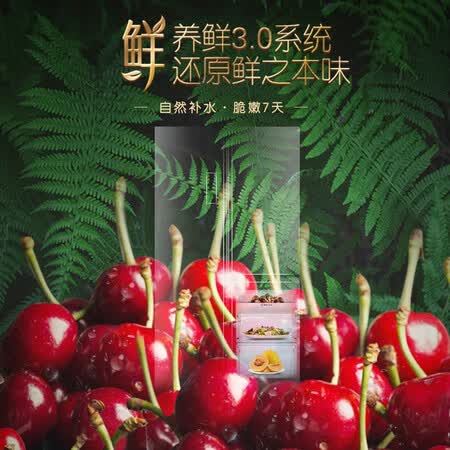 容声556升 原鲜旗舰T型对开冰箱怎么样?评价好吗?
