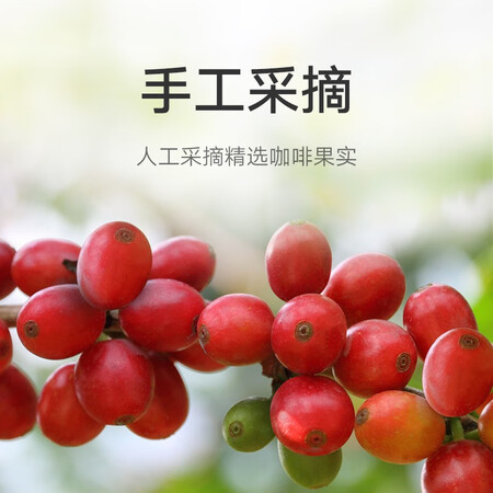 讨论使用一下米家小米定制心想甄选胶囊咖啡馥郁香浓60粒好用吗？个人感受揭秘！！