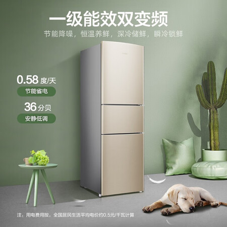容声252升 三门冰箱怎么样?上档次吗?