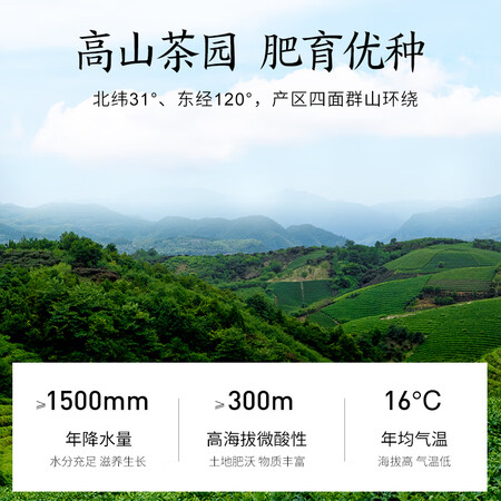 贡苑贡苑 绿茶 明前特级碧螺春125g2罐怎么样？评测好吗？
