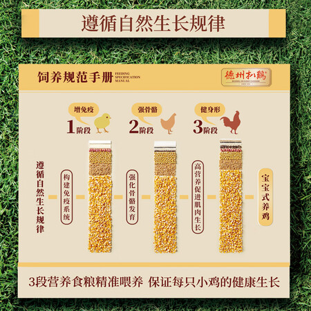 感受体验评测德州扒鸡五香精选童子鸡质量反馈如何？长期用可以吗！