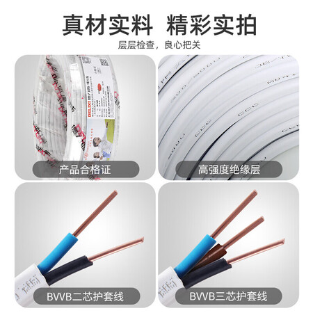 一起揭秘德力西BVVB-22.5质量怎么样？说说我的评价！