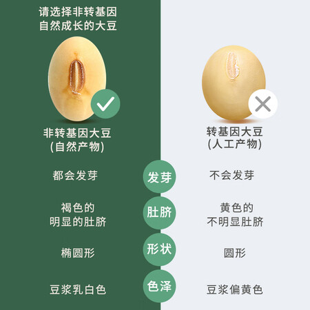 真实体验点评豆叔 黄豆笋 腐竹 豆皮豆腐皮豆筋棍豆棒 开江豆笋手工无添用后真实反馈？深度测评剖析！