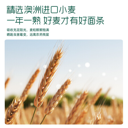 你们觉得英氏（Egice）婴幼儿辅食面条原味宝宝营养面粒粒面颗粒面珍珠面主食初质量到底好不好？口碑反馈如何评测！