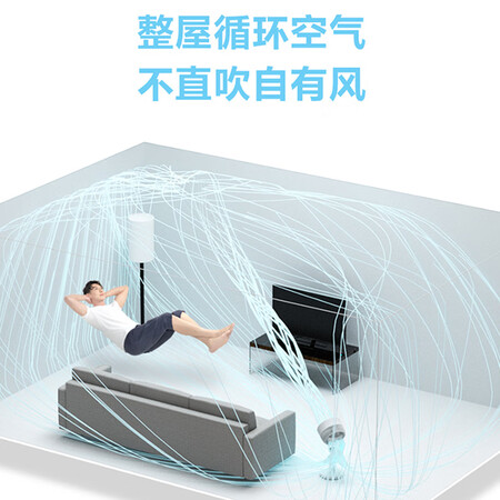 艾美特ca23-rd1与ca23-rd2哪个好？有何区别？