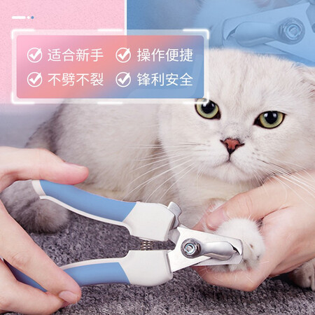 大家剖析来旺兄弟蓝色小号指甲剪质量评测揭秘？使用2个月感受如何！