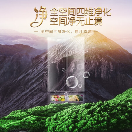 容声536升 原鲜旗舰T型中式对开冰箱怎么样?是品牌吗?