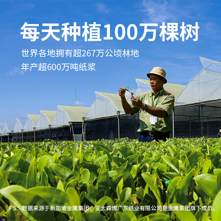 上手测评说说百旺80g A4 5包箱评测感觉真的好吗？使用三个月心得分享！