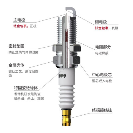 选择评测佐佐木CZY01012用户反馈如何？分享两星期经验分享！