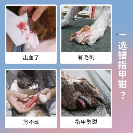 高手揭秘来旺兄弟蓝色小号指甲剪质量靠谱吗？全方位深度解析评测！！