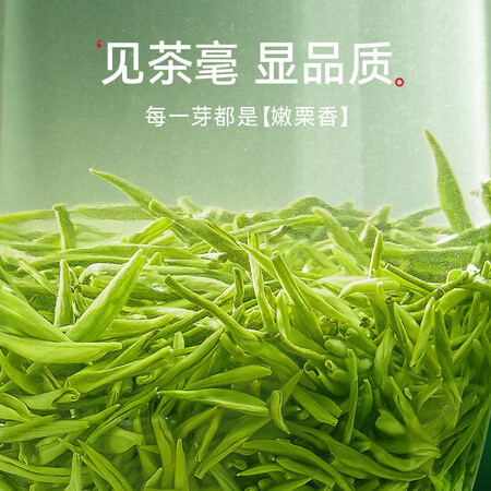 全方位爆料乐品乐茶 毛尖绿茶2022雨前新茶特级浓香型春茶嫩芽散装使用靠不靠谱？了解一个月真相分享！