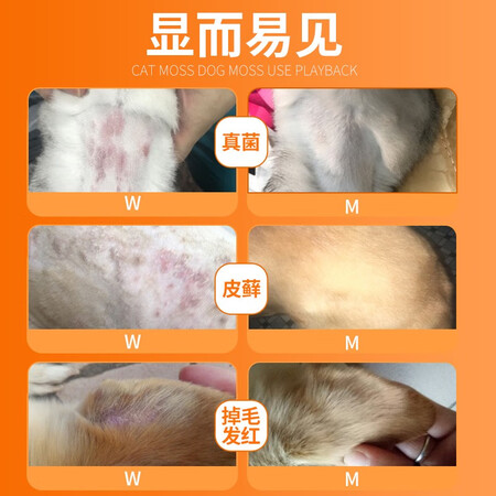 使用后解密普安特猫藓药浴狗狗猫咪宠物药浴皮肤病狗癣真菌黑下巴皮屑犬猫沐质量究竟咋样？体验报告揭秘！