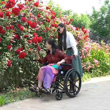 了解体验揽康手动轮椅折叠轻便老人轮椅车老年人助行器 【升级款评价真的好吗？达人分析真相如何！
