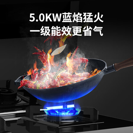 帅康集成灶C1B怎么样？是品牌吗？