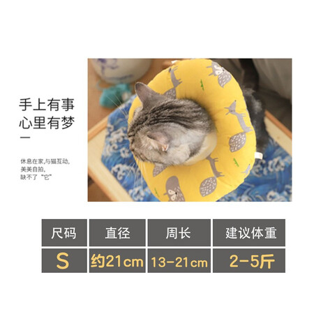 petofstory伊丽莎白圈质量评测如何-petofstory伊丽莎白圈质量评测揭秘_http://www.meifudie.com_好物_第9张
