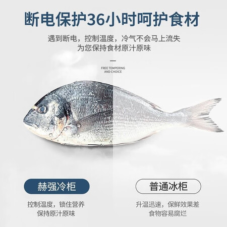 说说入手感受赫强冰柜商用大容量冷藏冷冻冻柜保温柜商用冰柜 428单温铜管智能款真实体验爆料？口碑测评反馈！