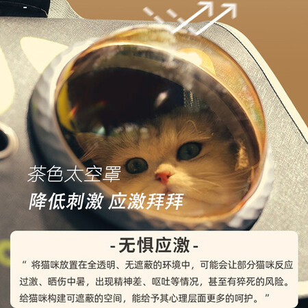 一起体验MikShee新升级款是否值得买？亲测解析实际情况！
