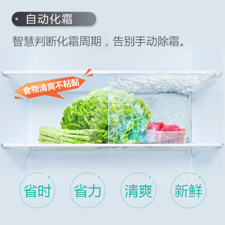 TCL 282升 冷藏自动除霜 法式多门电冰箱怎么样?值得入手吗?