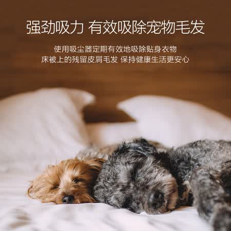 洒哇地咔SWDK-K380吸尘器怎么样?牌子好吗?