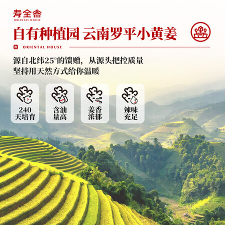 使用真实对比寿全斋 养生茶 红糖姜茶礼盒（红糖2+红枣2） 480g真的是值得买？使用二个月感受告知！