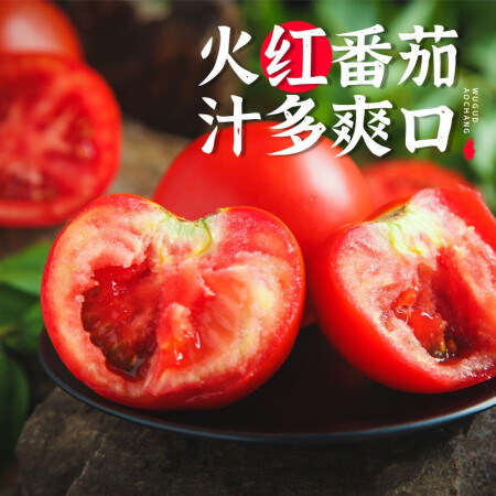 五谷道場非油炸方便面 骨汤蔬菜番茄牛腩面四连包112gx是否值得买_http://www.meifudie.com_好物_第5张
