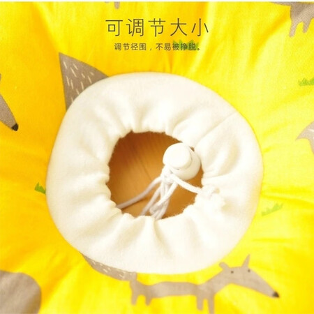 petofstory伊丽莎白圈质量评测如何-petofstory伊丽莎白圈质量评测揭秘_http://www.meifudie.com_好物_第10张