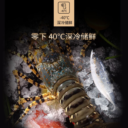 美菱BCBD-536DTE怎么样-美菱BCBD-536DTE用户反馈与体验_http://www.meifudie.com_好物_第4张