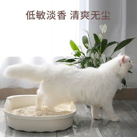 客观评测福丸玉米味豆腐宠物猫砂 结团 除臭 肥料植物可冲厕所  猫沙 5L感觉如何？入手三星期感受告知！