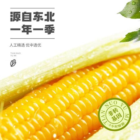 大家体验感受珍谷诱惑200g穗说说优缺点如何？使用三个月经验分享！