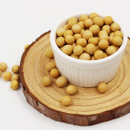 使用感受评测硃碌科 东北有机黄豆 大豆豆浆豆1500g（3斤）非转基因究竟真相如何？深度剖析实际情况！