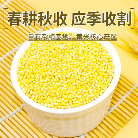 内行人评测沐谷mgjp0011性价比高不？了解三周心得分享！