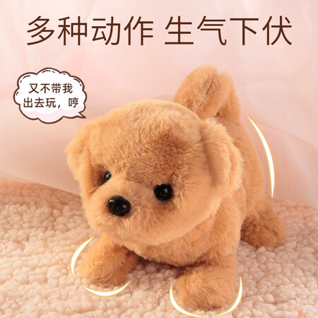 高手评测乐吉儿萌犬家族-金毛犬用起来靠谱吗？了解二个月心得分享！