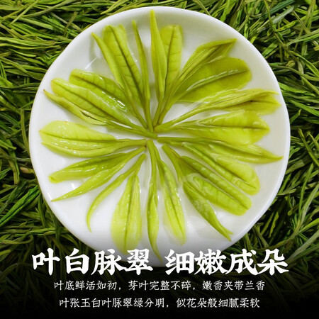 分析评测感受陈一凡明前珍稀白茶（金）-凡质量评测好不好用？了解二个月经验分享！