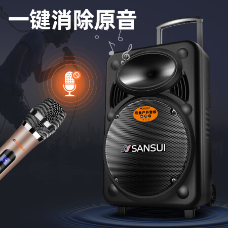 山水（SANSUI） A15-66 15英寸广场舞音响 便携式户外音值不值这价格呢_http://www.meifudie.com_好物_第5张